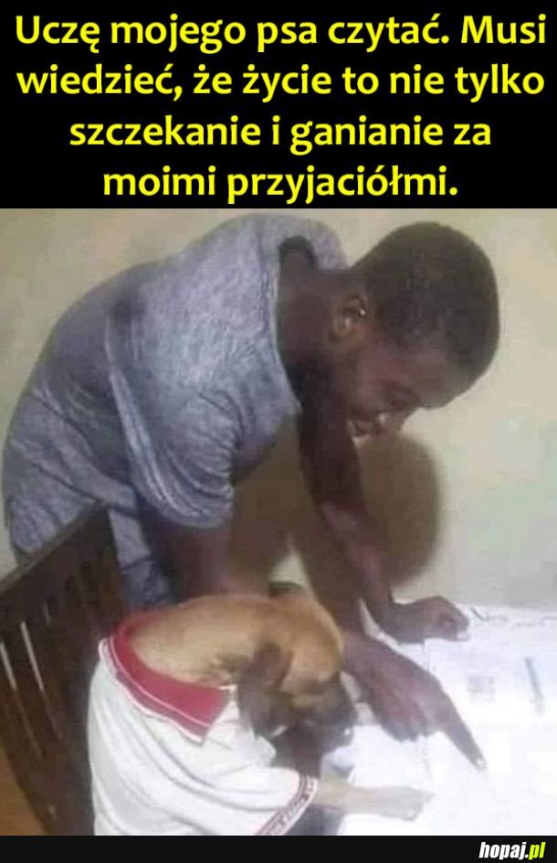 Ucz się piesku