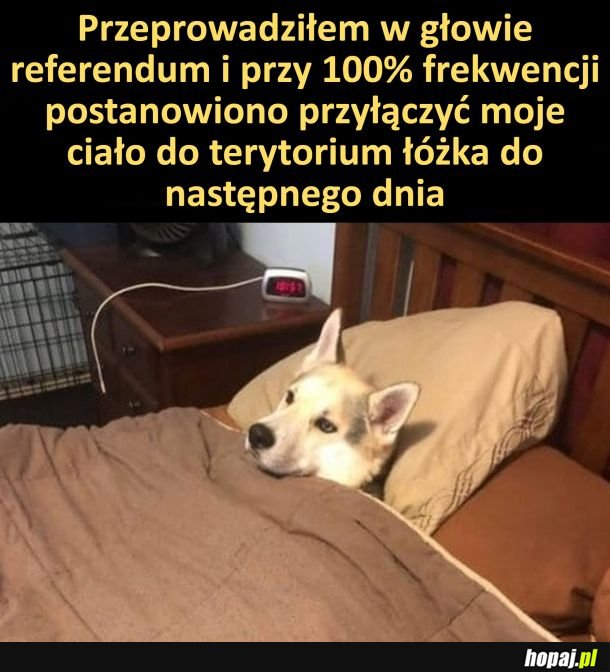 Referendum