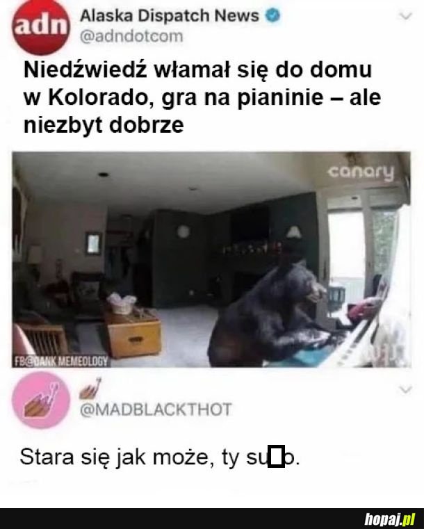 Nie ciśnij misia