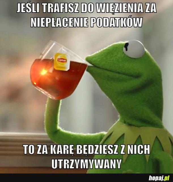 Tak bardzo sensowne