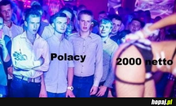 Polacy 