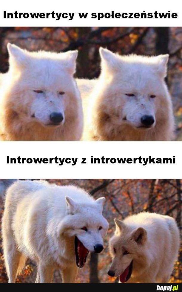 Introwertycy