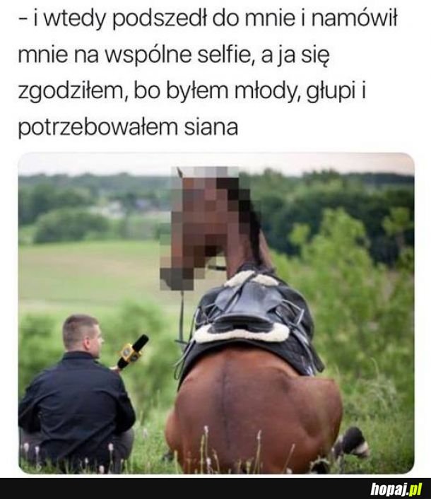 Nawet Koń dał się nabrać