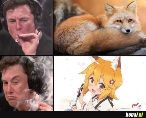Co ten Elon 