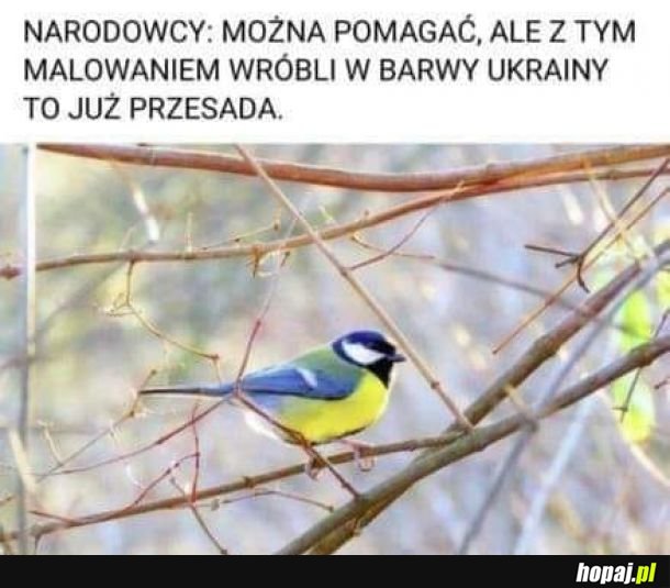 Już przesada