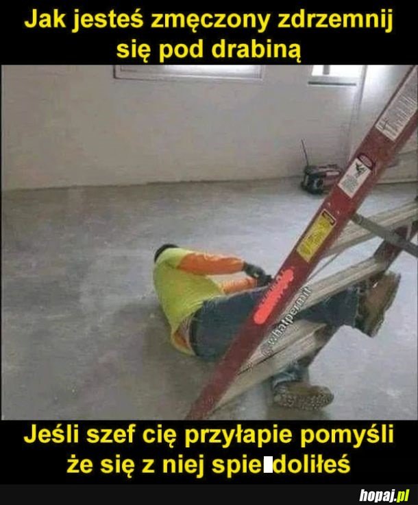 Dobry sposób na drzemkę