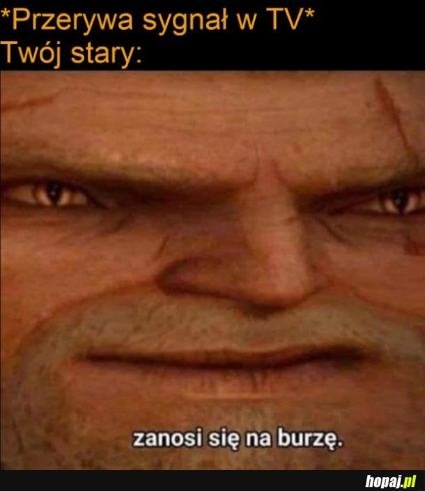 Zaczęło się