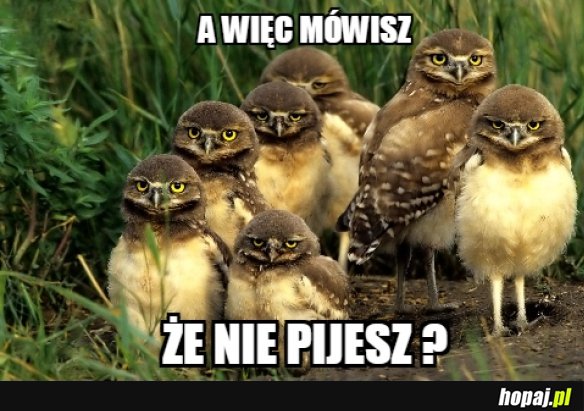 Nie pijesz?