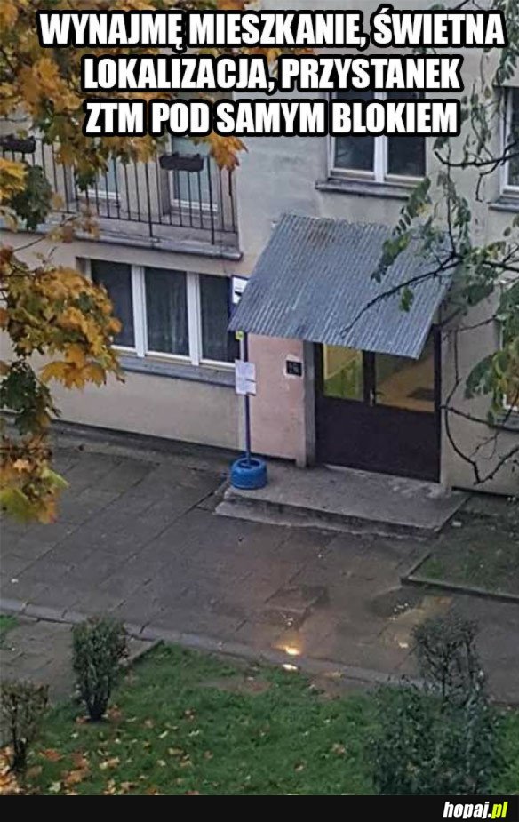 ŚWIETNA LOKALIZACJA