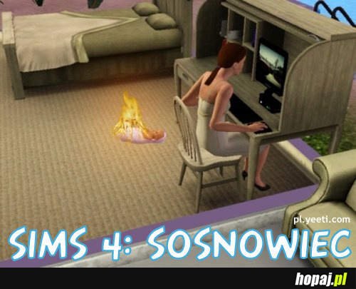 Sims 4 Sosnowiec