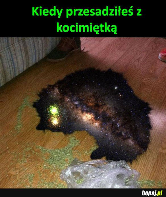 Koteł