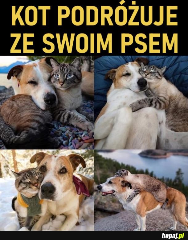 Podróżnicy