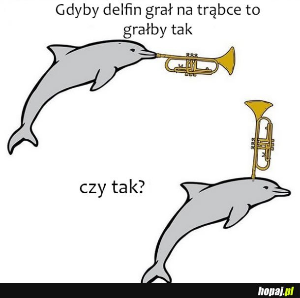 Delfin
