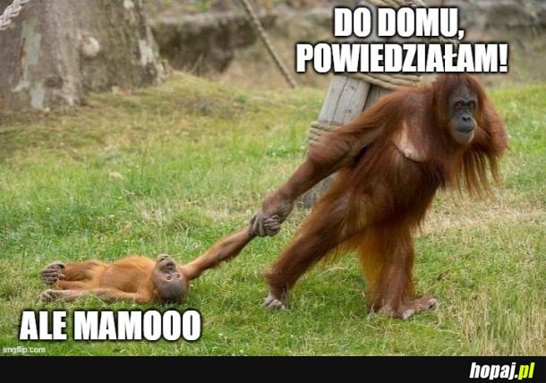 Kiedy przychodzi mama i psuje zabawę