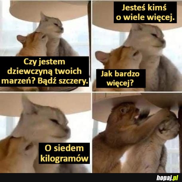 Dziewczyna marzeń