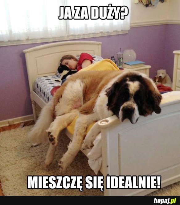Ja za duży?