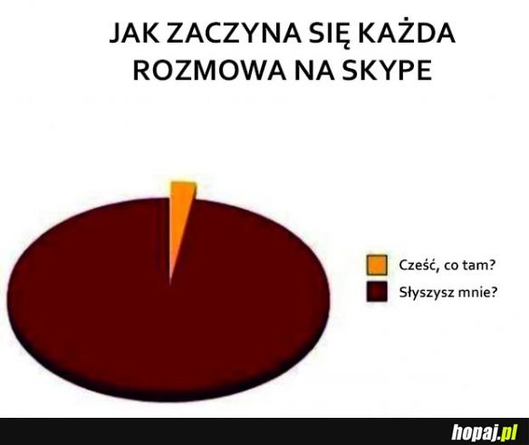 Rozmowa na skype