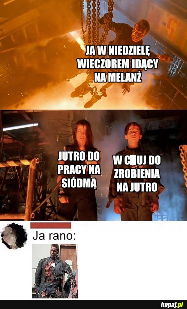 Dam radę