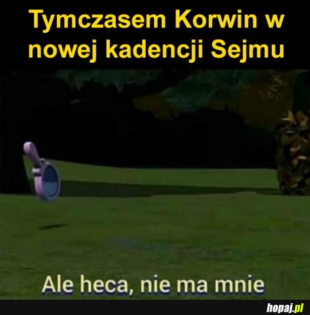 Korwin