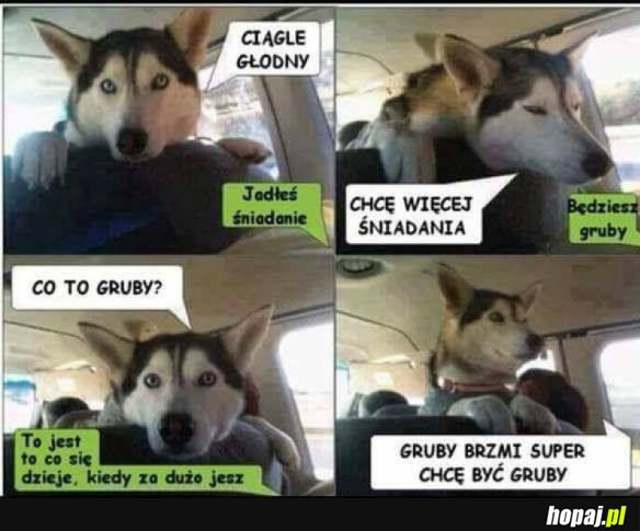 CIĄGLE GŁODNY