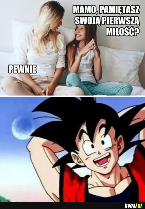 Pierwsza miłość 