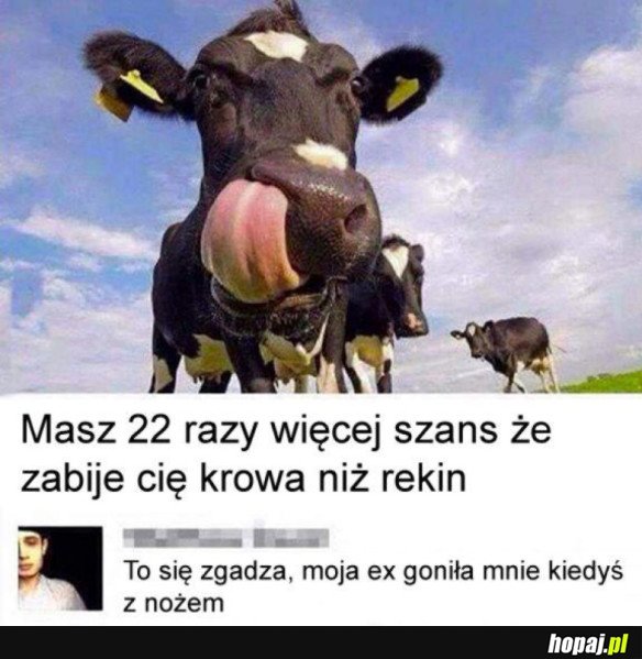 TAKA PRAWDA