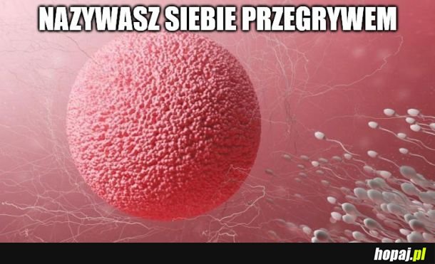 A pokonałeś 500 milionów plemników