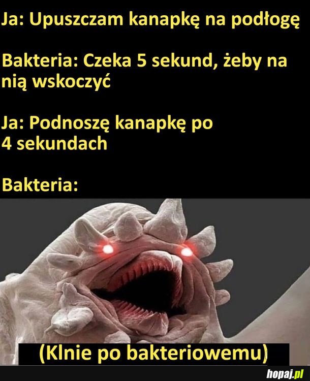Bakterie