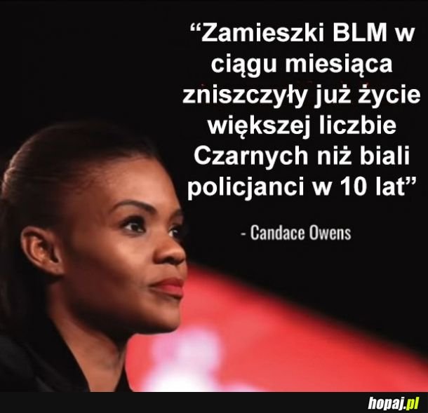 Zamieszki