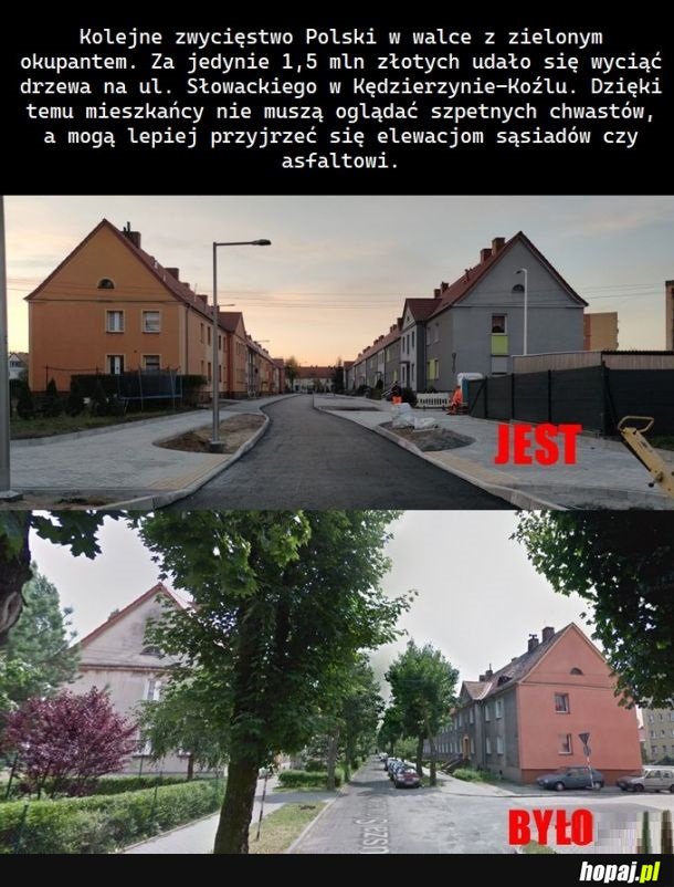Wszystkich drzew nie wytniemy, ale próbować warto