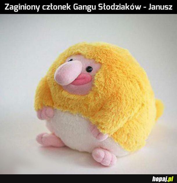 Uroczy Janusz