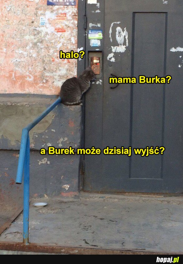 MAMA BURKA