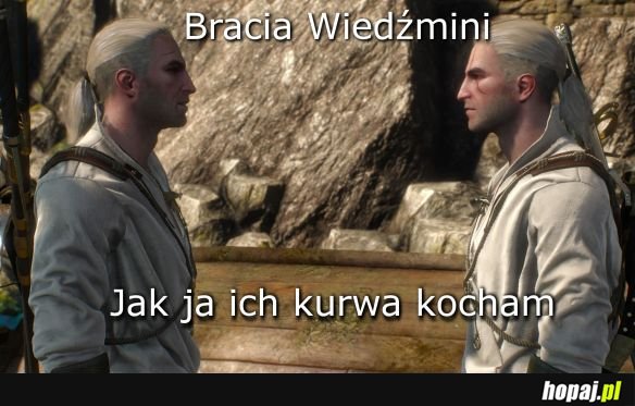 Bracia Wiedźmini