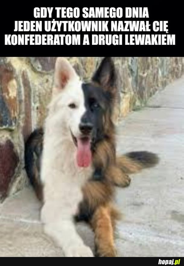 Rabini są niezdecydowani