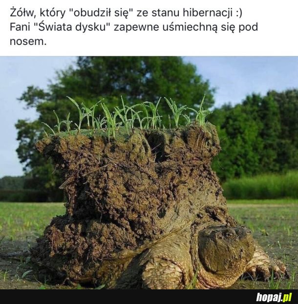 Pozdro dla kumatych