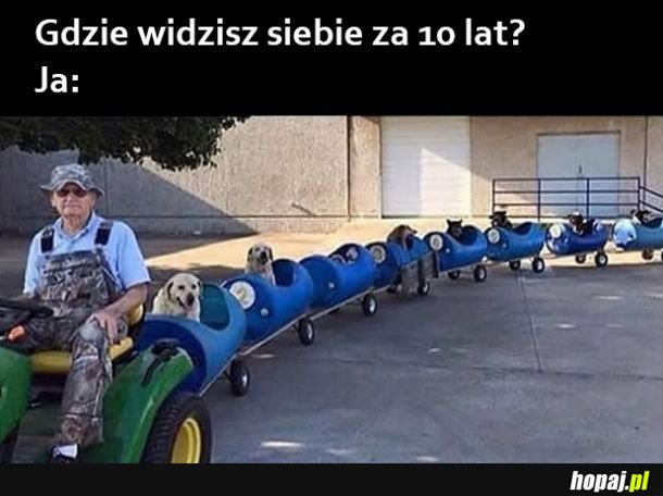 Gdzie się widzisz
