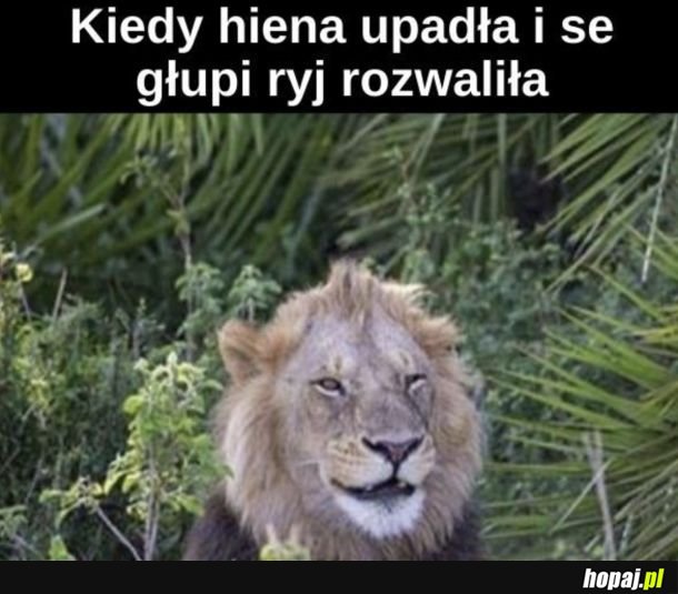 He he