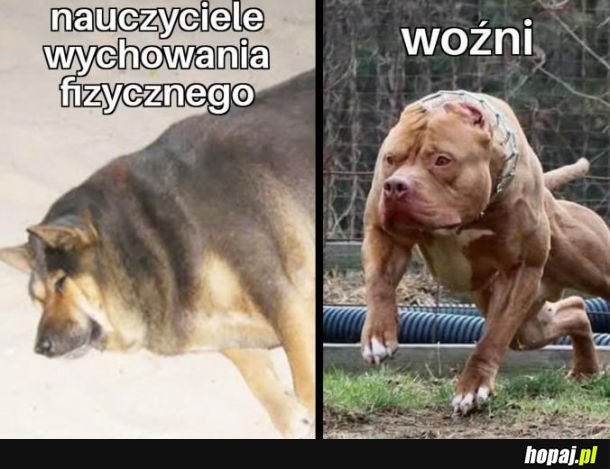  Typowa szkoła 