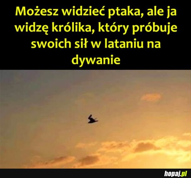A Ty co widzisz?