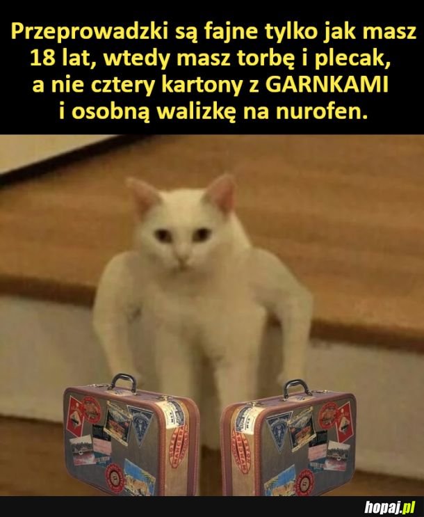 Przeprowadzki