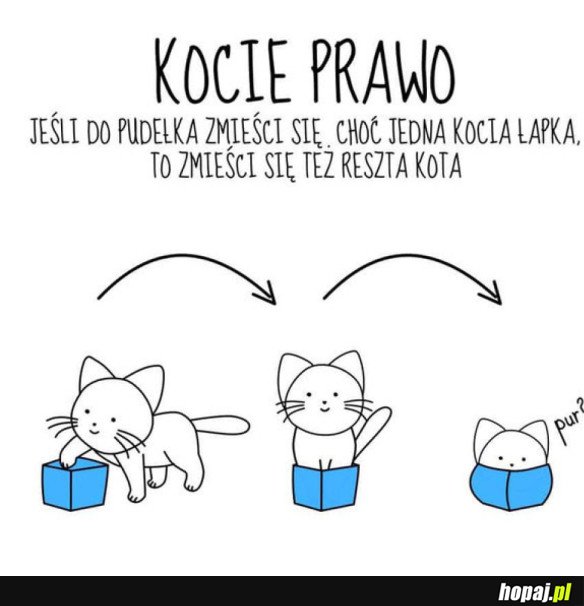 FIZYKI NIE OSZUKASZ