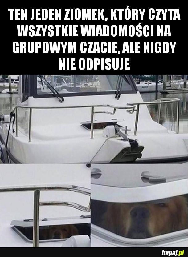 Ten jeden ziomek
