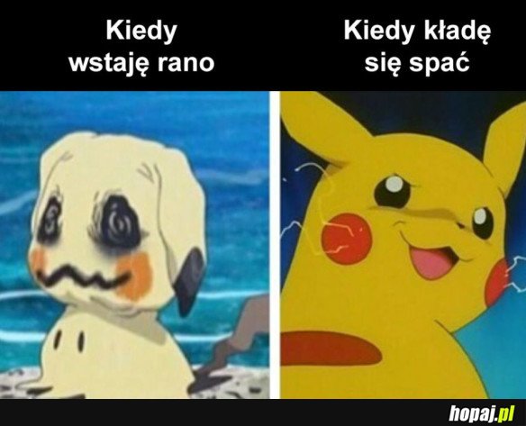 TAK TO WYGLĄDA
