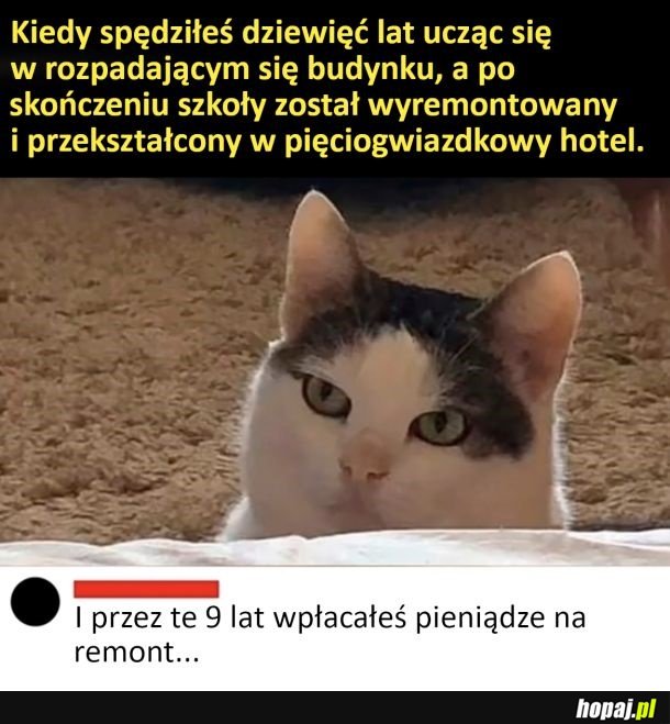 Remont szkoły