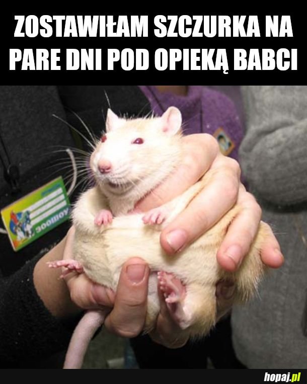 Zdrowo wygląda