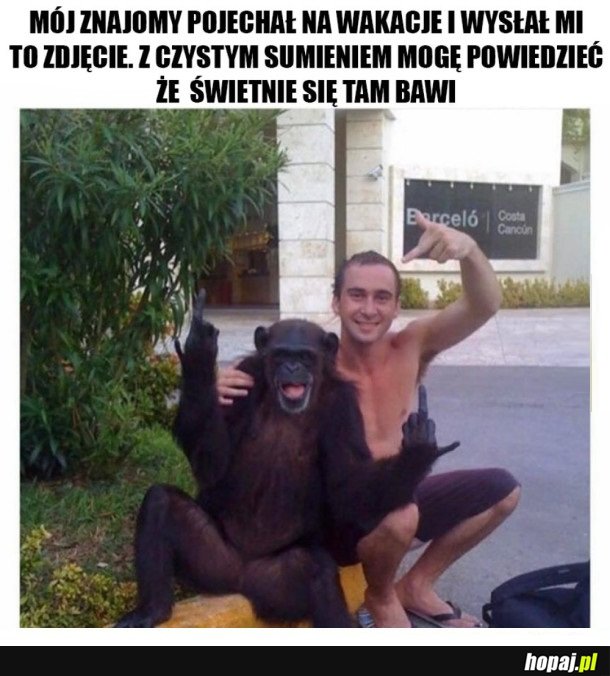 CZYSTY UBAW