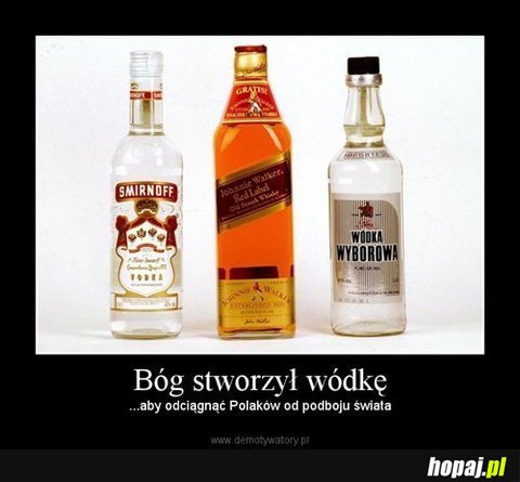 Po co bóg stworzył wódkę?