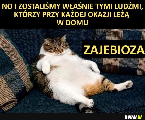 To mu pasuje xd
