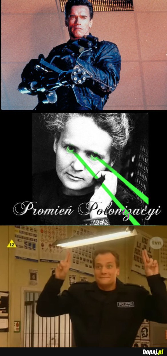 PROMIEŃ POLONIZACYI