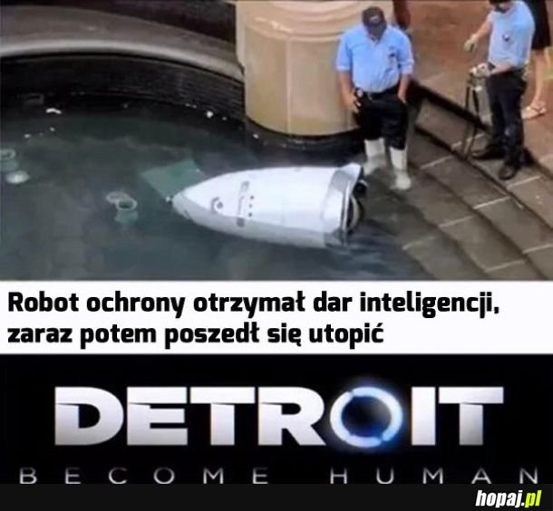 Wylogował się